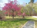 Scenic yard with a gravel path and flowering trees enhancing the landscape at 1188 Turner Rd, Creedmoor, NC 27522