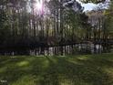 Picturesque pond surrounded by lush greenery and mature trees, offering a serene view at 2000 Mountain Laurel Dr, Clayton, NC 27527
