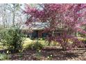 Landscaped front exterior with flowering trees, blooming daffodils, and a gray brick home at 817 Old Mill Rd, Chapel Hill, NC 27514