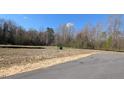 Picture of a residential lot ready to build, surrounded by trees and a clear blue sky at 401 Sweet Potato Lane # 15, Nashville, NC 27856