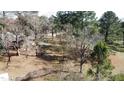 Expansive lot surrounded by lush, mature trees offers privacy and a serene setting at 640 Sunnybrook Rd, Raleigh, NC 27610