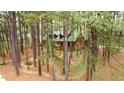 A natural shot of the red brick home hidden amongst the trees at 917 Queensferry Rd, Cary, NC 27511