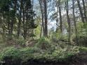 Scenic view of a lush, wooded area, perfect for nature lovers at 4423 Sugarbend Way, Raleigh, NC 27606