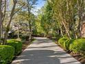 Long driveway leading to a beautiful home, lined with lush trees and manicured hedges providing privacy and curb appeal at 73214 Burrington, Chapel Hill, NC 27517