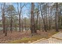 Backyard view with mature trees and lake access in a beautiful, natural wooded setting at 7825 Breckon Way, Raleigh, NC 27615