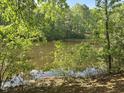 Picturesque lake view surrounded by lush greenery, offering a serene and private setting at 7825 Breckon Way, Raleigh, NC 27615