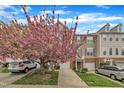View of townhome exteriors featuring attached garages and mature landscaping with a pink dogwood tree at 208 Chandler Chase Ct, Morrisville, NC 27560