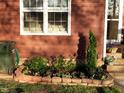 Attractive flowerbed with fresh landscaping, brick border, and vibrant greenery at 125 Long Shadow Pl, Durham, NC 27713