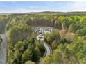 Breathtaking aerial view of a secluded estate surrounded by lush greenery and a winding driveway at 482 Emily Ln, Chapel Hill, NC 27516