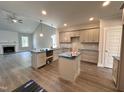 Open concept kitchen features grey cabinets, stainless steel appliances, and a kitchen island at 106 Roma Gora Ct, Princeton, NC 27569