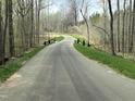 A long, winding driveway leading to a secluded homesite surrounded by mature trees and professional landscaping at 0009 Tallulah Loop Ln, Cedar Grove, NC 27231