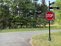 A street view highlighting the intersection of Luke Lane and Tallulah Loop, indicating a peaceful residential neighborhood at 0009 Tallulah Loop Ln, Cedar Grove, NC 27231