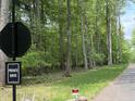 Heavily wooded homesite on a private drive with lush green space at 0006 Tallulah Loop Lane, Cedar Grove, NC 27231