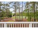 Picturesque golf course view from the balcony, surrounded by tall trees and natural beauty at 101 Preston Arbor Ln, Cary, NC 27513