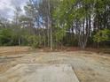 A backyard surrounded by lush trees, offering a serene and private outdoor space at 136 Baneberry Pl, Broadway, NC 27505