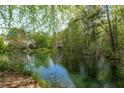 A serene pond reflects the surrounding trees, showcasing the natural beauty of the property at 113 Weatherhill Pt, Carrboro, NC 27510
