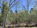 View of wooded backyard with mature trees creating a private, natural setting at 1075 Fairhaven Dr # 51, Mebane, NC 27302