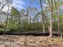A wooded lot is ready to be transformed into the perfect backyard at 12 Gates St, Roxboro, NC 27573
