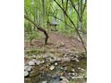 Scenic view of a tranquil creek flowing through a wooded area with lush green foliage at 2281 Lamont Norwood, Pittsboro, NC 27312