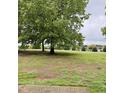 Picturesque backyard with expansive lawn space perfect for outdoor activities and relaxation at 2125 Ventana Ln, Raleigh, NC 27604