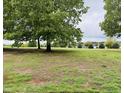Open backyard view featuring a grassy lawn area and mature trees offering shade and privacy at 2125 Ventana Ln, Raleigh, NC 27604