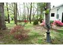 The backyard provides ample shade with mature trees, as well as flowering bushes and a sundial at 505 E Graham St, Mebane, NC 27302