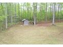 The backyard includes a shed for storage and ample green space surrounded by mature trees at 3954 Piney Grove Church Rd, Siler City, NC 27344