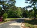 View of the neighborhood street with lush greenery and a quiet atmosphere at 136 Scramble Rd, Erwin, NC 28339