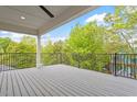 Spacious back porch with black metal railing and scenic view of lush green trees at 1007 E Davie St, Raleigh, NC 27601