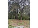 Wooded lot offers privacy and a natural setting for building your dream home at 108 Virgil Rd, Durham, NC 27703