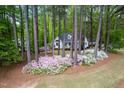 Beautifully landscaped property with colorful azaleas surrounding a charming white home among mature trees at 2001 Virginia Dare Pl, Raleigh, NC 27610