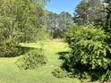 Spacious and lush backyard with mature trees, perfect for outdoor activities and relaxation at 4159 Princeton Kenly Road, Kenly, NC 27542