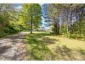 View of the long driveway leading to a charming home and yard at 545 Billy Fitts Rd, Siler City, NC 27344