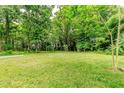 Lush grassy yard offers serene privacy with mature trees at 6238 Old 421 Rd, Liberty, NC 27298