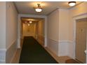 Well-lit hallway with carpet leading to unit doors, creating a welcoming entrance at 224 Eyam Hall Ln, Apex, NC 27502