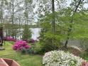 Backyard view of a lake with colorful azalea bushes and beautiful landscaping at 959 Sagamore Dr, Louisburg, NC 27549
