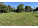 Large backyard featuring a spacious lawn, mature trees, and a chain-link fence at 125 S State St, Haw River, NC 27258