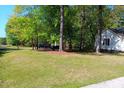 Expansive front yard showcases lush greenery and mature trees, partially obscuring a parked car at 334 Cabin Grove Ct, Angier, NC 27501