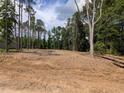Cleared lot ready for building, surrounded by mature trees at 1681 Pecan Drive # 24, Nashville, NC 27856