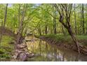 Picturesque stream flowing through a lush wooded area creating a tranquil natural setting at 195 Nicks W Bnd, Pittsboro, NC 27312
