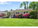 Charming single-story home featuring a well-manicured lawn and mature azaleas, creating a picturesque curb appeal at 806 Edmund St, Raleigh, NC 27604