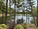 Serene lake view framed by lush trees, offering a peaceful and picturesque natural setting at 25303 Ludwell, Chapel Hill, NC 27517