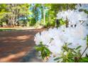 Closeup of white blooming azalea bushes and brick path, adding natural beauty to the property at 12 Innisfree Dr, Durham, NC 27707