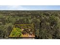 Aerial view showcases property within lush greenery and highlighted boundaries at 110 Omega Rd, Henderson, NC 27536