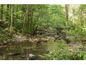 Peaceful creek flowing through a forest at 164 Blufftonwood Dr # 35, Pittsboro, NC 27312