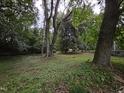 Large backyard featuring mature trees and lush greenery, creating a private outdoor space at 66 Toomer Loop Rd, Pittsboro, NC 27312