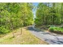 Scenic driveway leading to the property, surrounded by lush trees and greenery at 3214 Saddle Club Rd, Mebane, NC 27302
