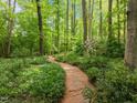 Scenic brick path winding through lush greenery, offering a tranquil and inviting approach to the property at 608 Valen Ct, Chapel Hill, NC 27516