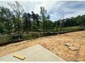Large backyard of new home construction overlooks wooded area with small stones at 1252 Randwick Valley Ct Ct, Zebulon, NC 27597