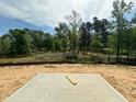 Large backyard of new home construction overlooks wooded area and small body of water at 1252 Randwick Valley Ct Ct, Zebulon, NC 27597
